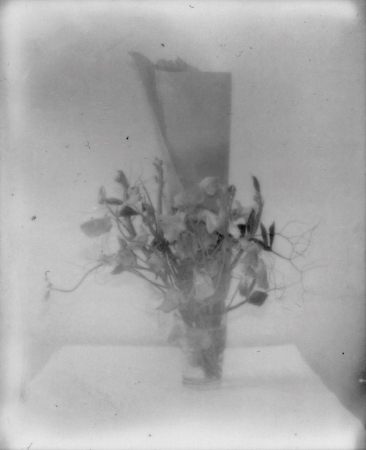 UNTITLED - 2011, Polaroid, 3.9 x 3.1 in. / 9,8  x 8 cm